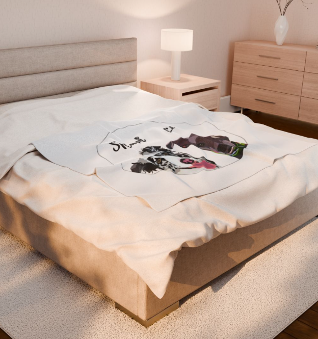 2 Pet Velveteen Plush Blanket