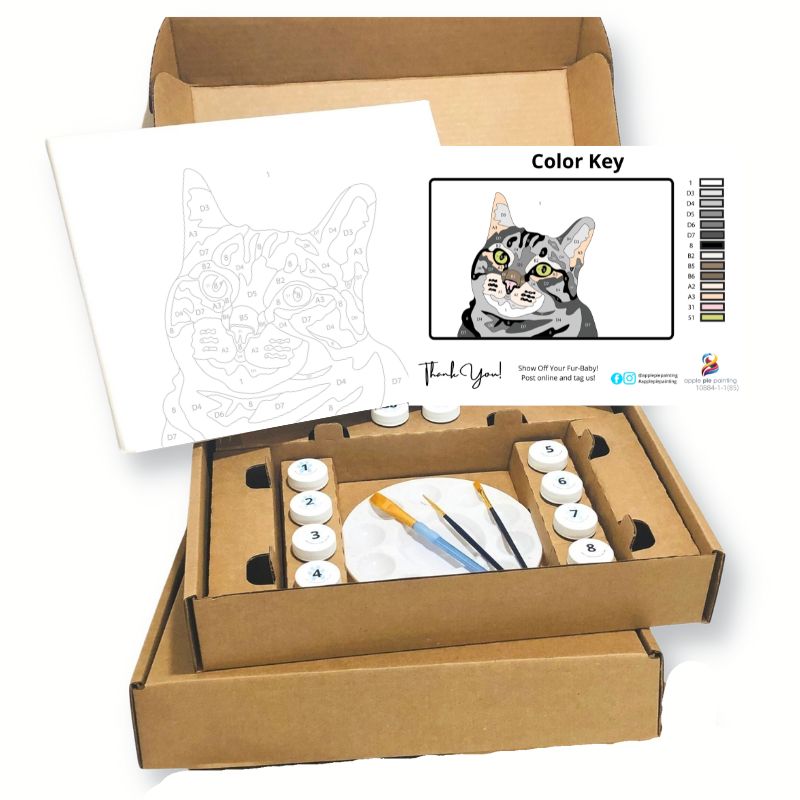 Painting Kits