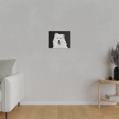 One Pet Portrait on Canvas | Black Background | Custom Hand-Drawn Pet Portrait in Cartoon-Realism Style