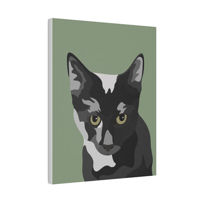 One Pet Portrait on Canvas | Sage Green Background | Custom Hand-Drawn Pet Portrait in Cartoon-Realism Style