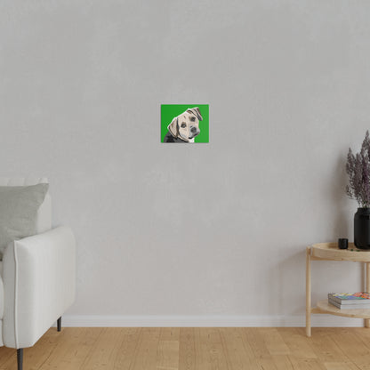 One Pet Portrait on Canvas | Green Background | Custom Hand-Drawn Pet Portrait in Cartoon-Realism Style