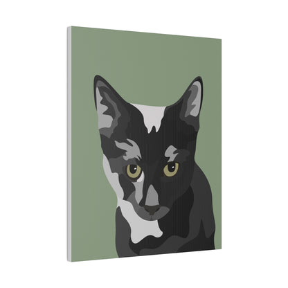 One Pet Portrait on Canvas | Sage Green Background | Custom Hand-Drawn Pet Portrait in Cartoon-Realism Style