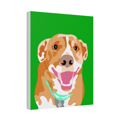 One Pet Portrait on Canvas | Green Background | Custom Hand-Drawn Pet Portrait in Cartoon-Realism Style