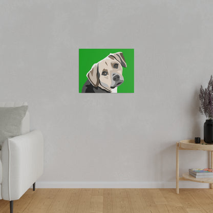 One Pet Portrait on Canvas | Green Background | Custom Hand-Drawn Pet Portrait in Cartoon-Realism Style