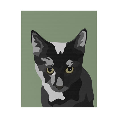 One Pet Portrait on Canvas | Sage Green Background | Custom Hand-Drawn Pet Portrait in Cartoon-Realism Style