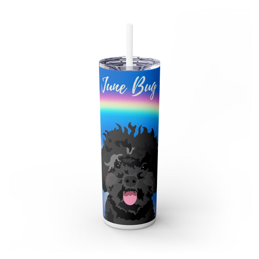 One Pet | Rainbow Sky | Skinny Tumbler with Straw, 20oz