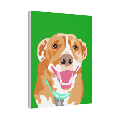 One Pet Portrait on Canvas | Green Background | Custom Hand-Drawn Pet Portrait in Cartoon-Realism Style