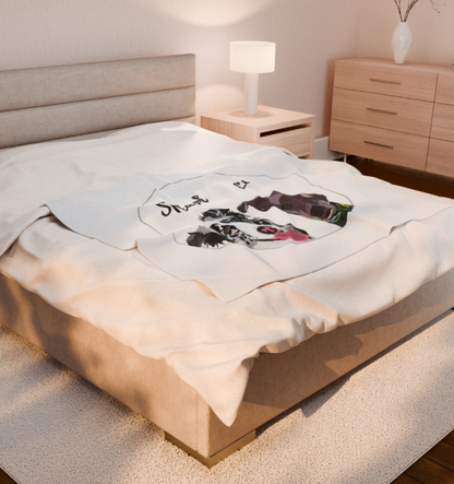 2 Pet Velveteen Plush Blanket